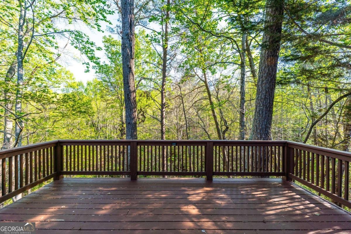 204 Lakeside Drive Waleska - Photo 35