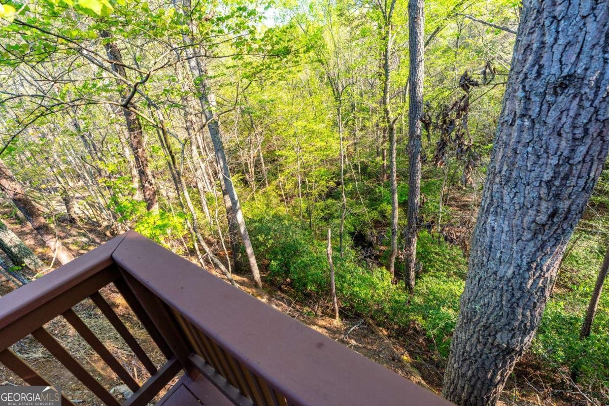 204 Lakeside Drive Waleska - Photo 36