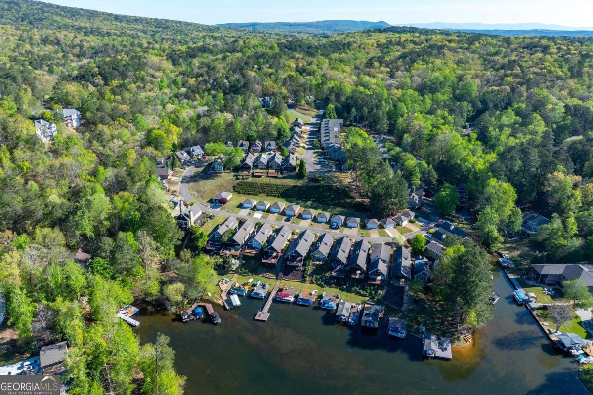 204 Lakeside Drive Waleska - Photo 44