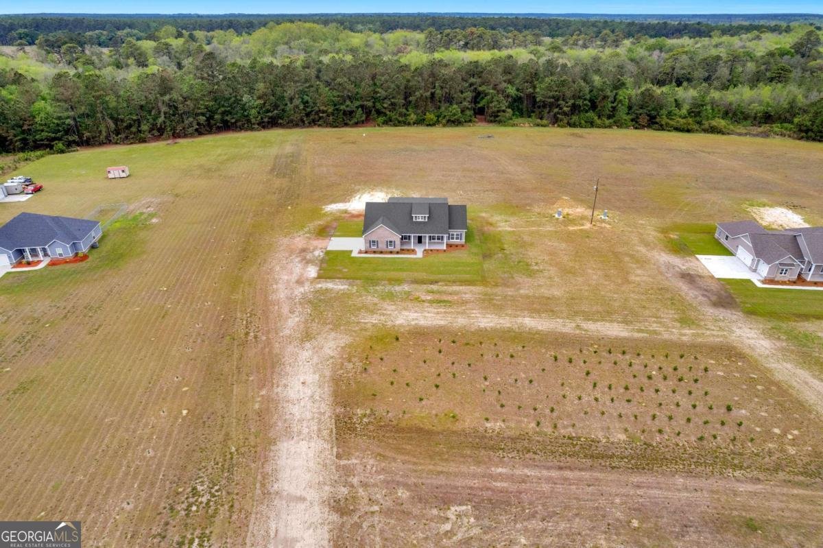 769 S T Morris Road Ludowici - Photo 37