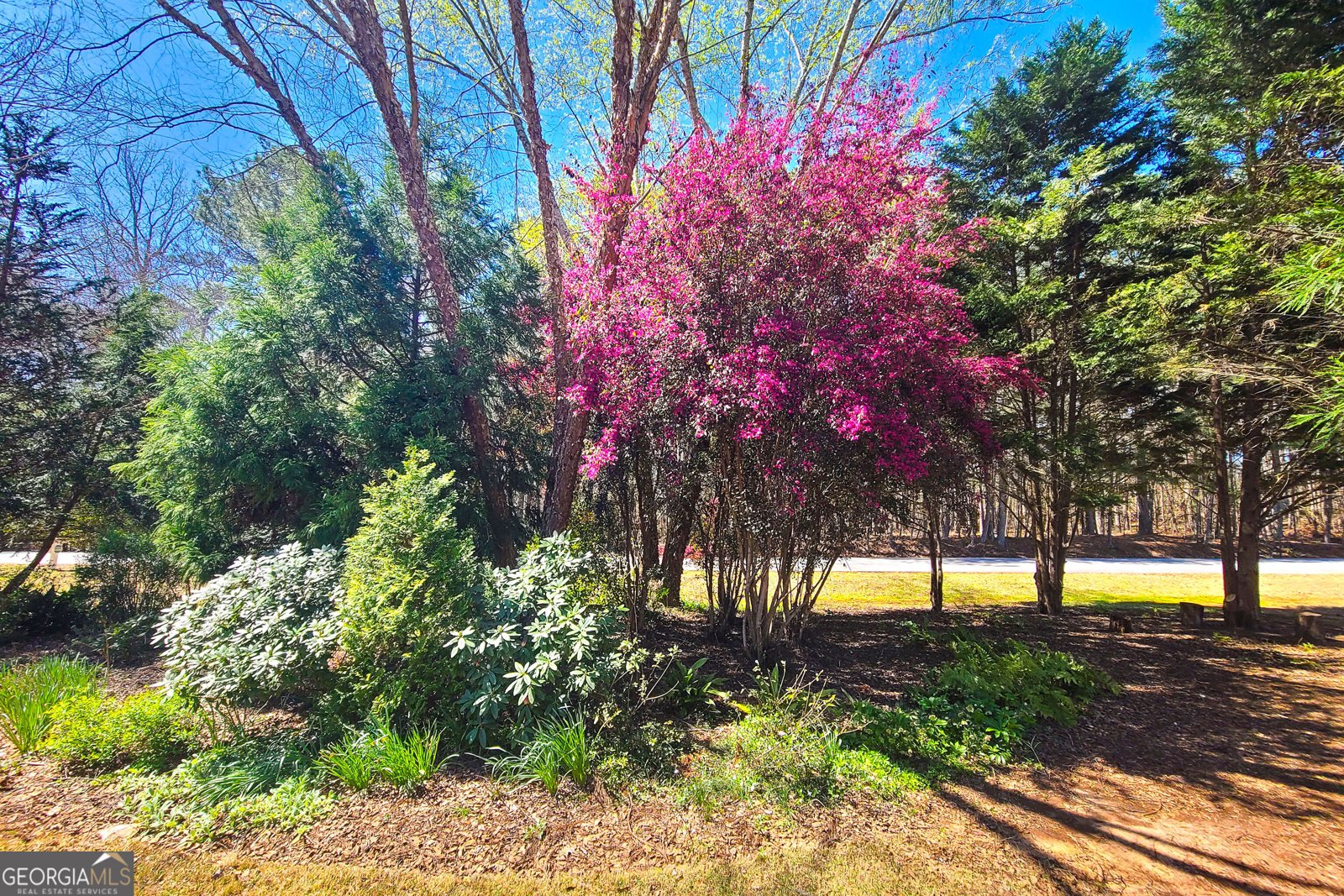 120 Shilling Way Newnan - Photo 60