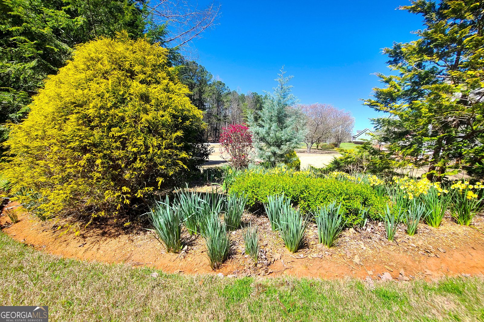120 Shilling Way Newnan - Photo 61