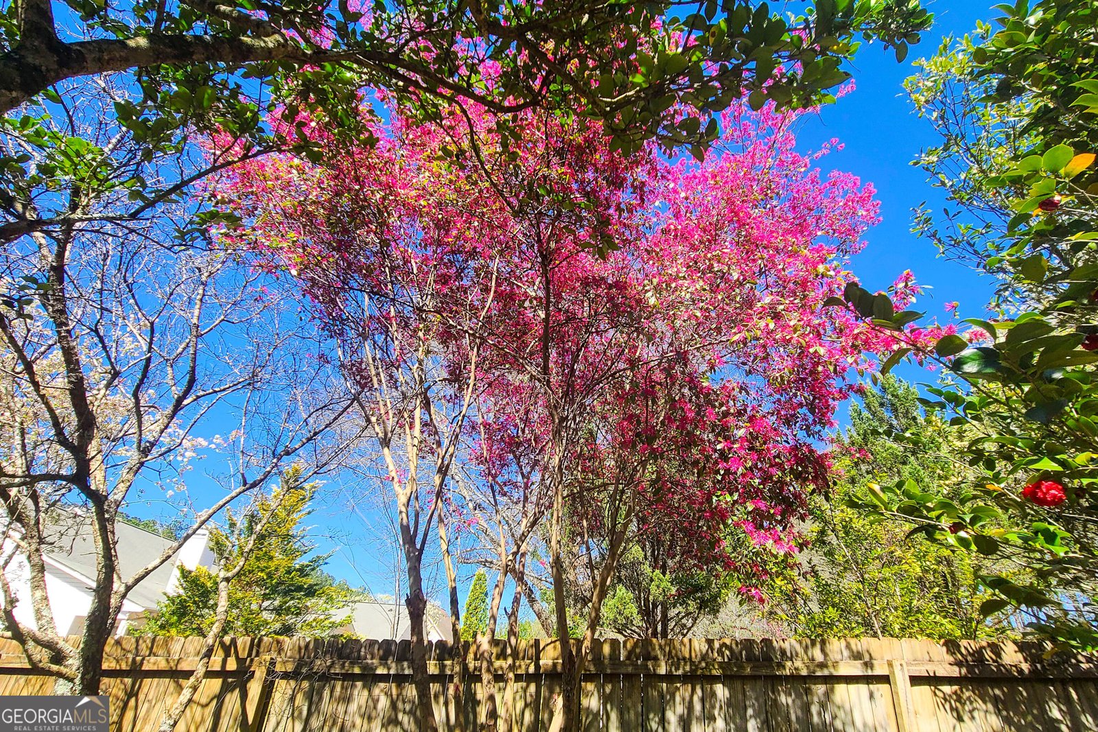 120 Shilling Way Newnan - Photo 65