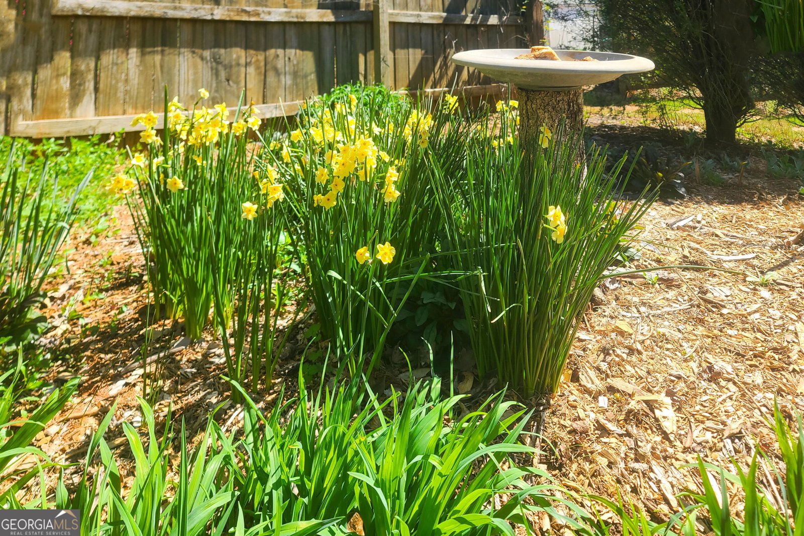 120 Shilling Way Newnan - Photo 68