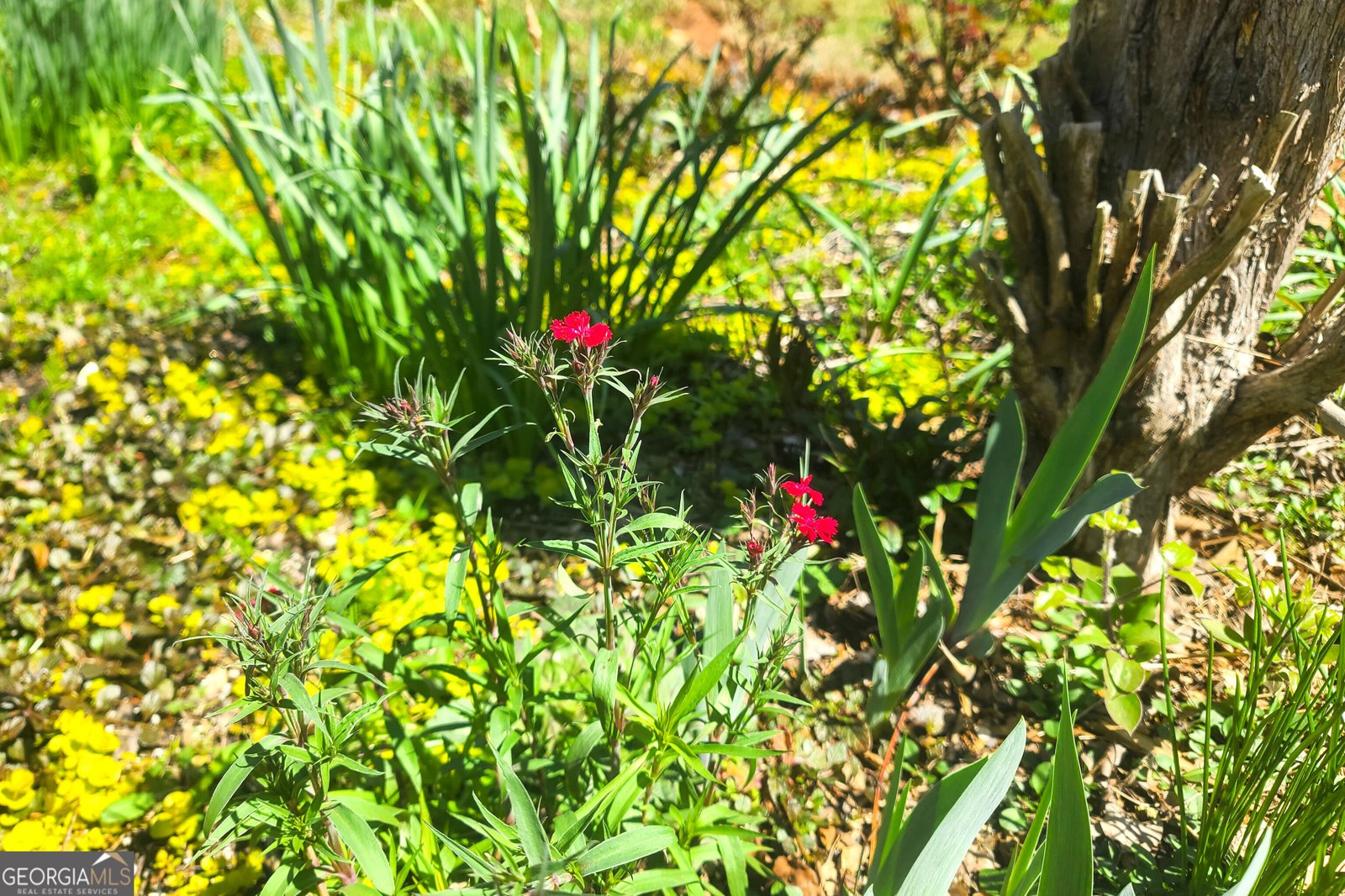 120 Shilling Way Newnan - Photo 69