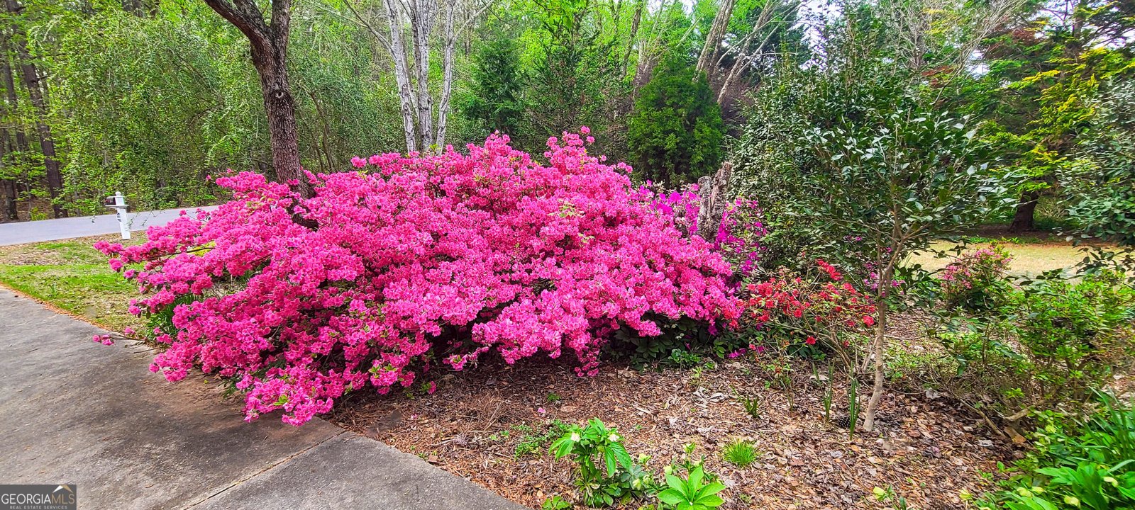 120 Shilling Way Newnan - Photo 71