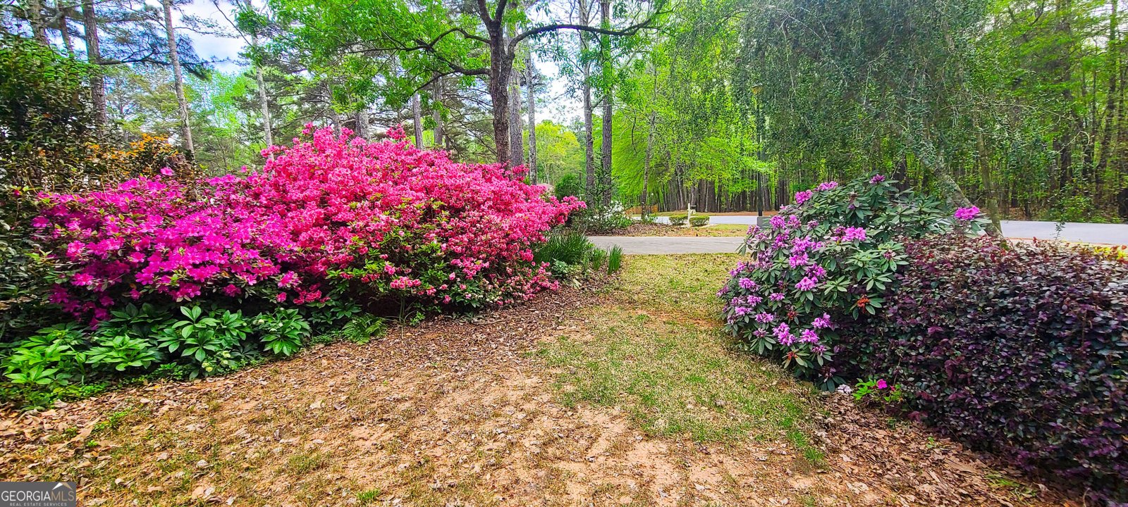120 Shilling Way Newnan - Photo 72