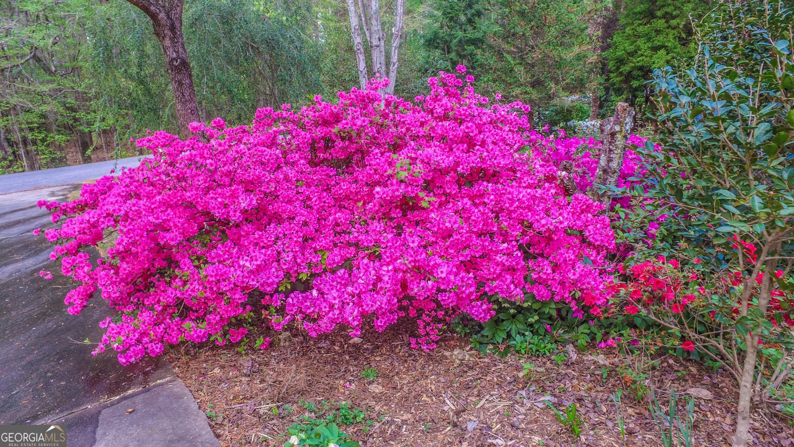 120 Shilling Way Newnan - Photo 82