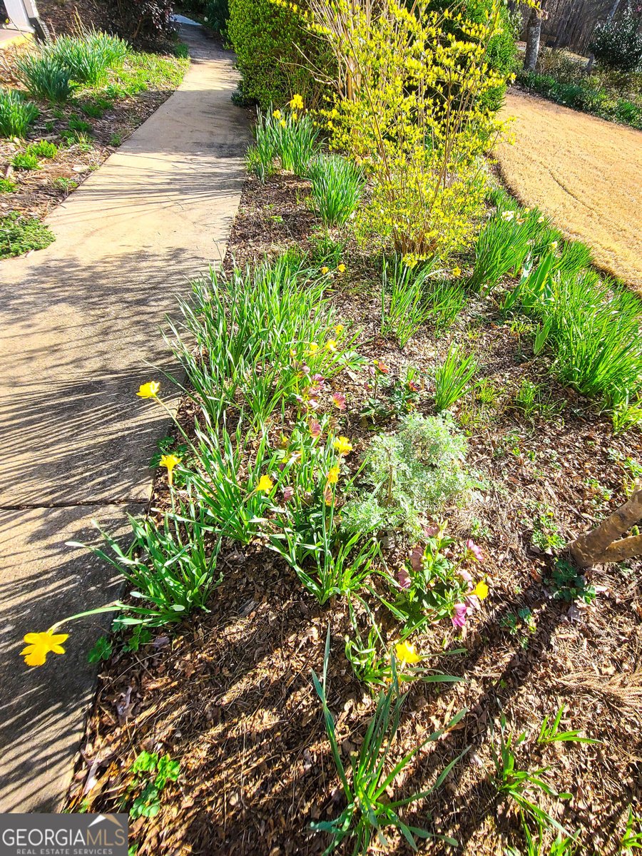 120 Shilling Way Newnan - Photo 83