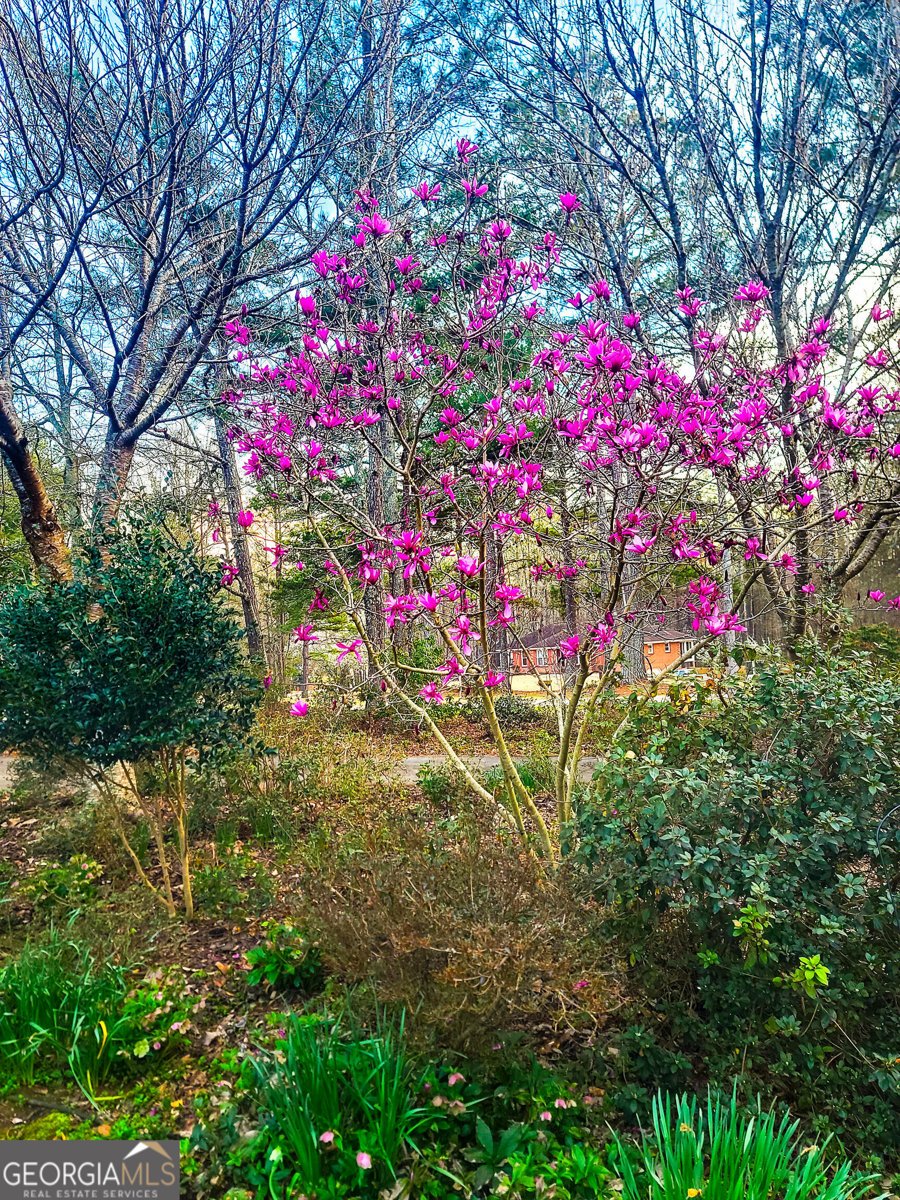 120 Shilling Way Newnan - Photo 84