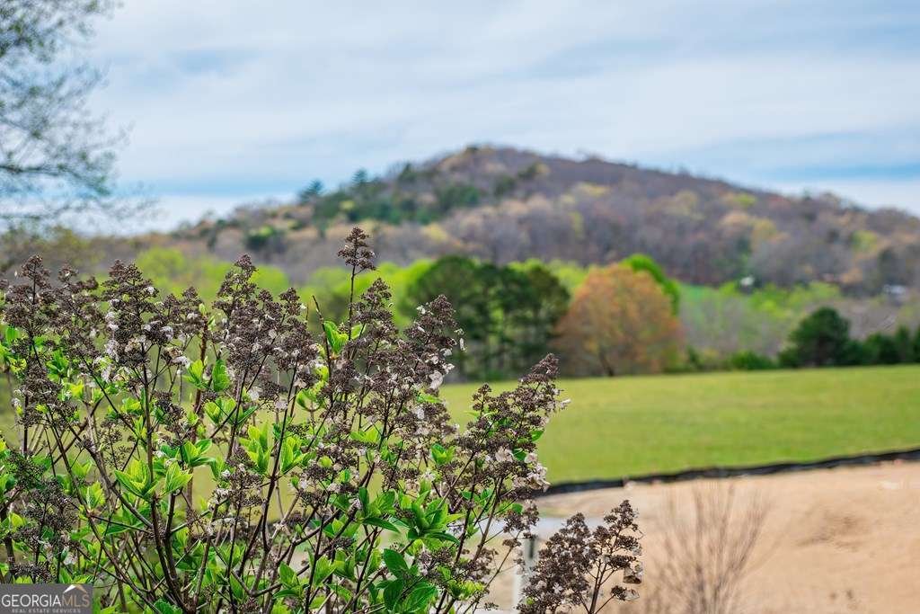 164 Owen Glen Drive Blairsville - Photo 24
