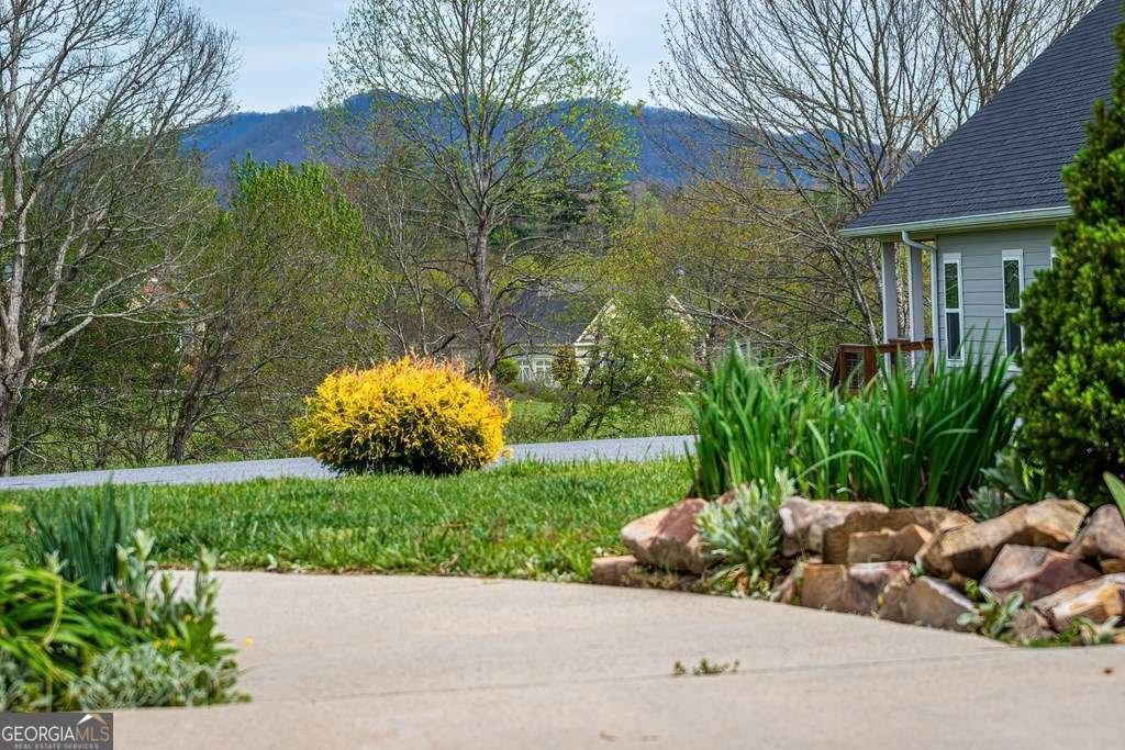 164 Owen Glen Drive Blairsville - Photo 46