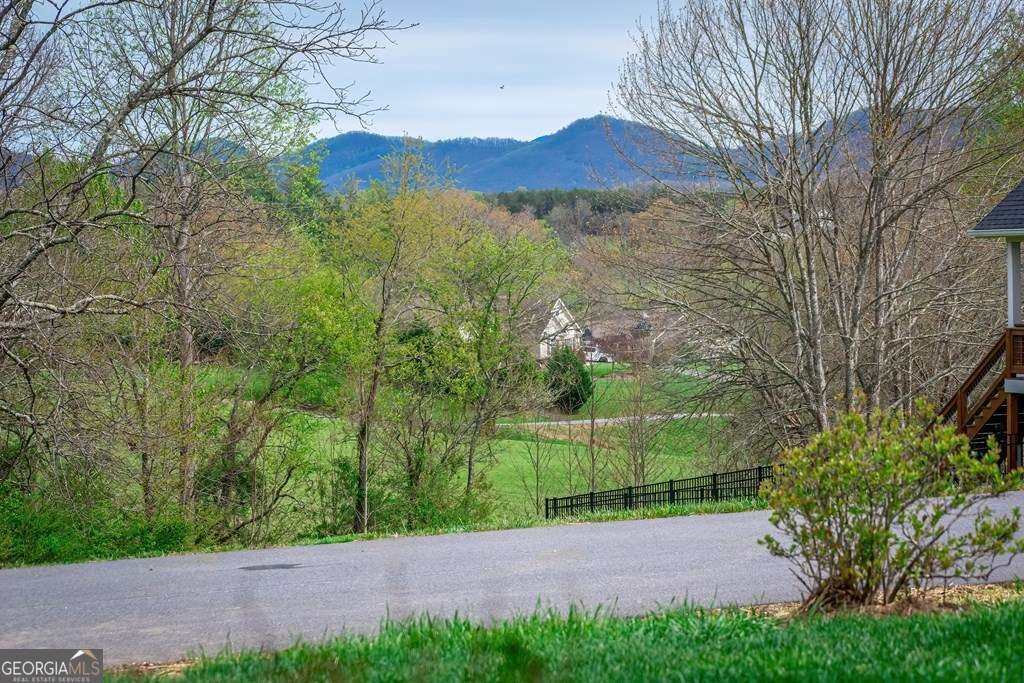 164 Owen Glen Drive Blairsville - Photo 53