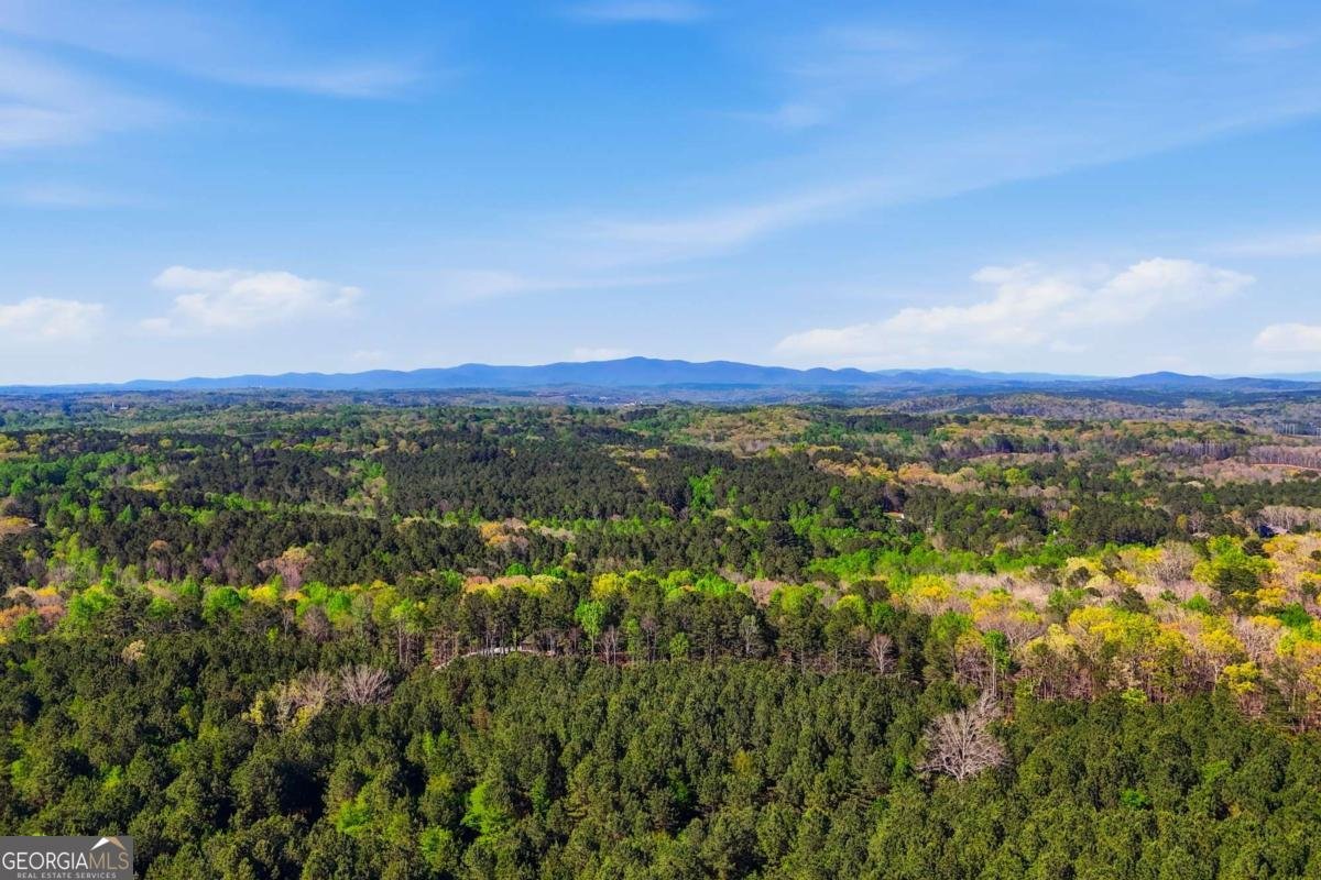 2865 Flatbottom Road Ball Ground - Photo 67