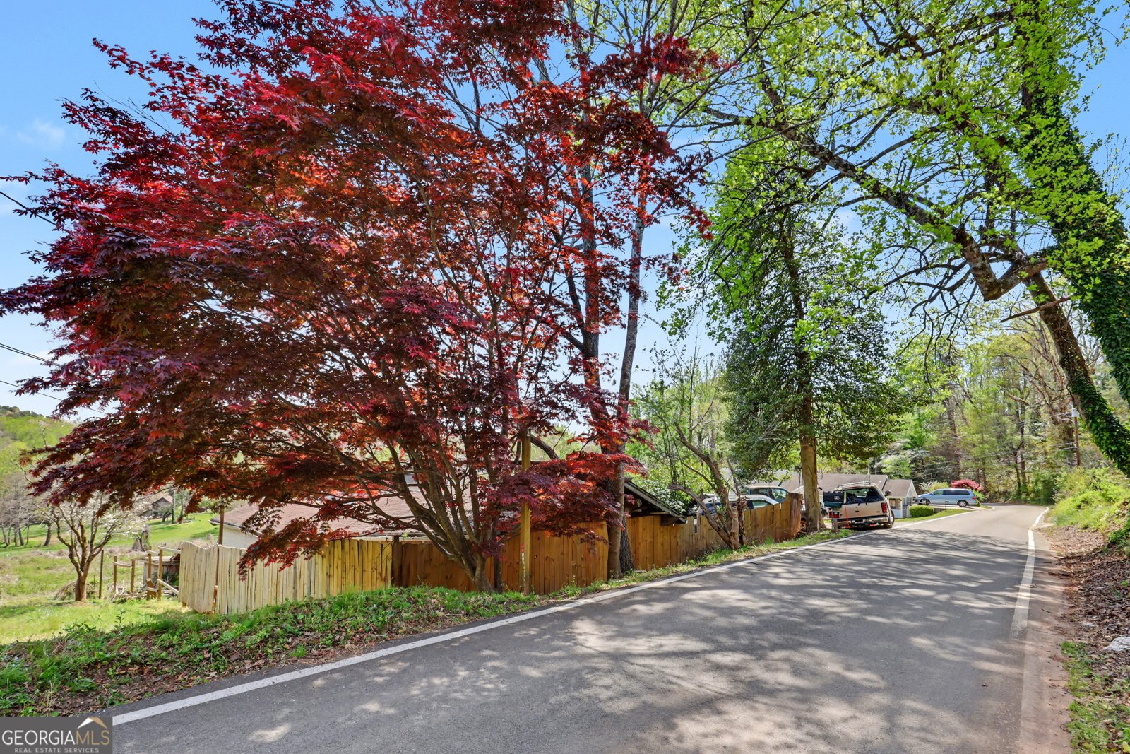 202 Old Screamer Street Clayton - Photo 12