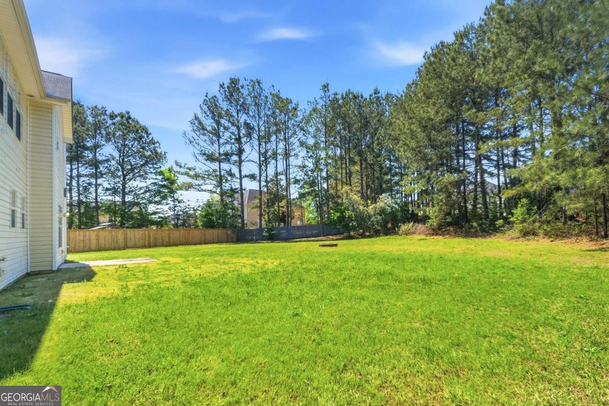 1305 Odessa Court Mcdonough - Photo 31