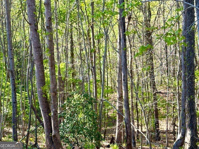 580 White Pine Circle Demorest - Photo 46