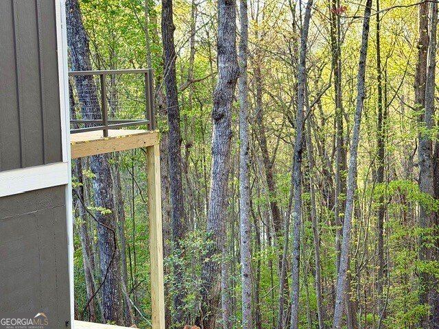 580 White Pine Circle Demorest - Photo 47