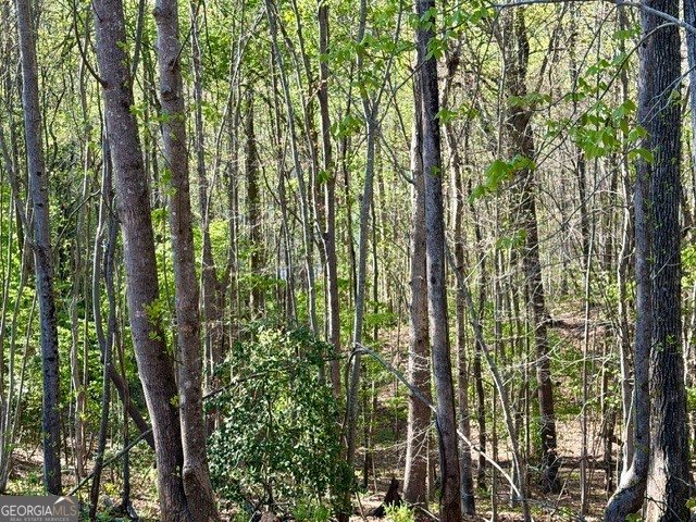 580 White Pine Circle Demorest - Photo 48