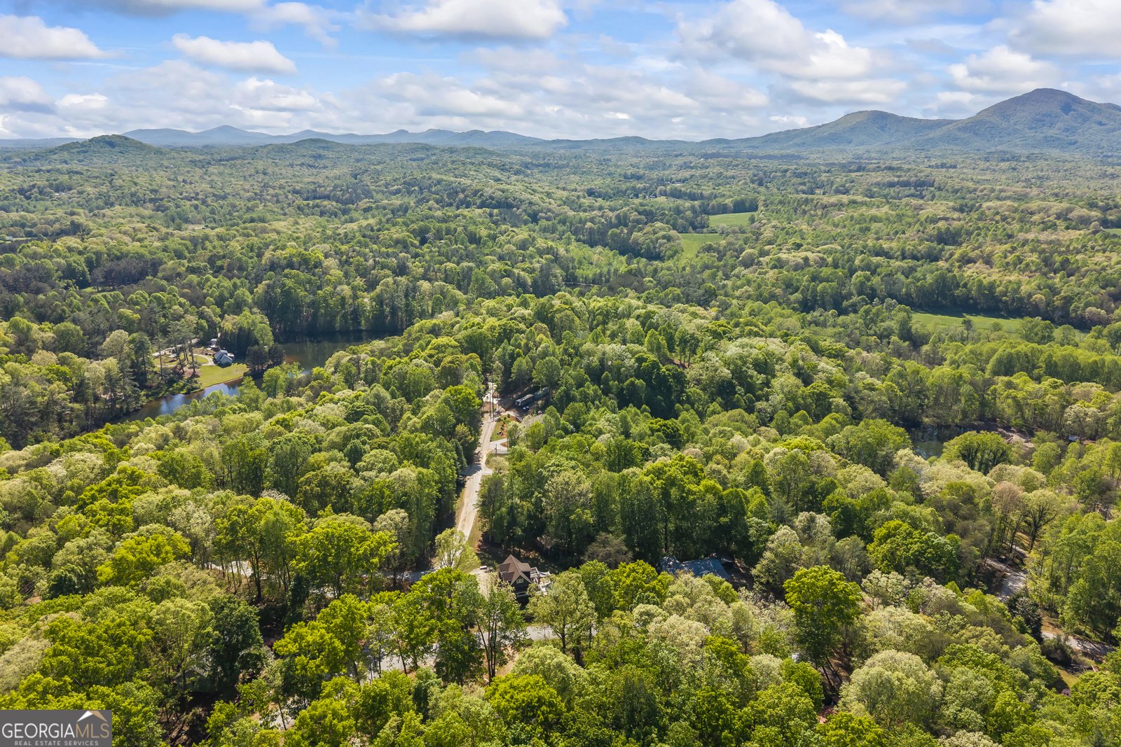 580 White Pine Circle Demorest - Photo 52