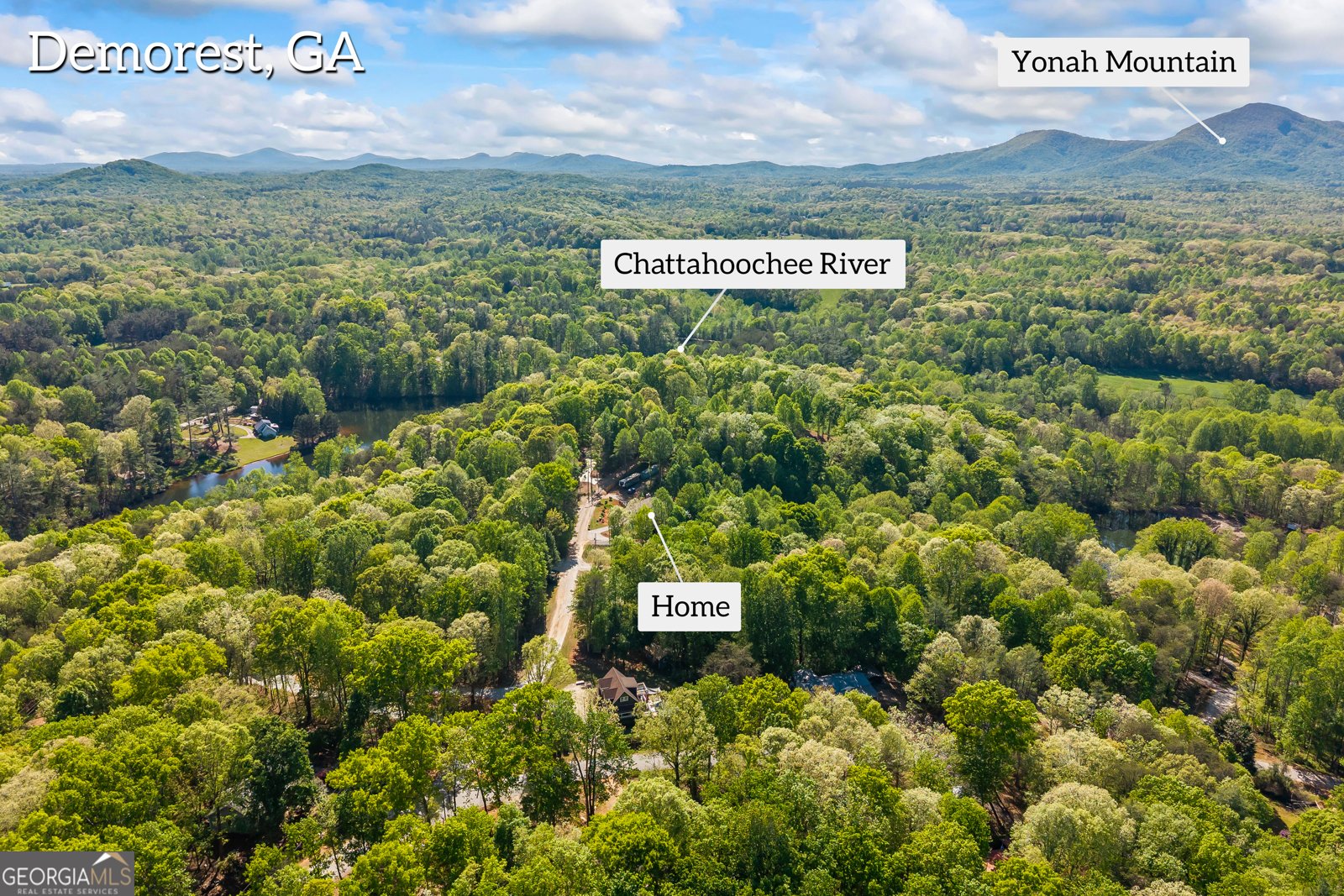 580 White Pine Circle Demorest - Photo 53