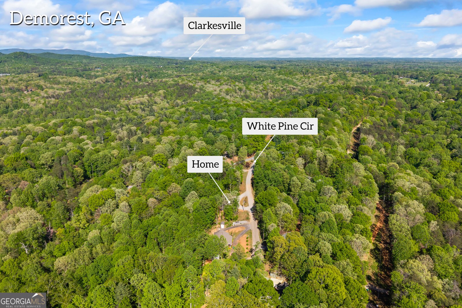 580 White Pine Circle Demorest - Photo 56