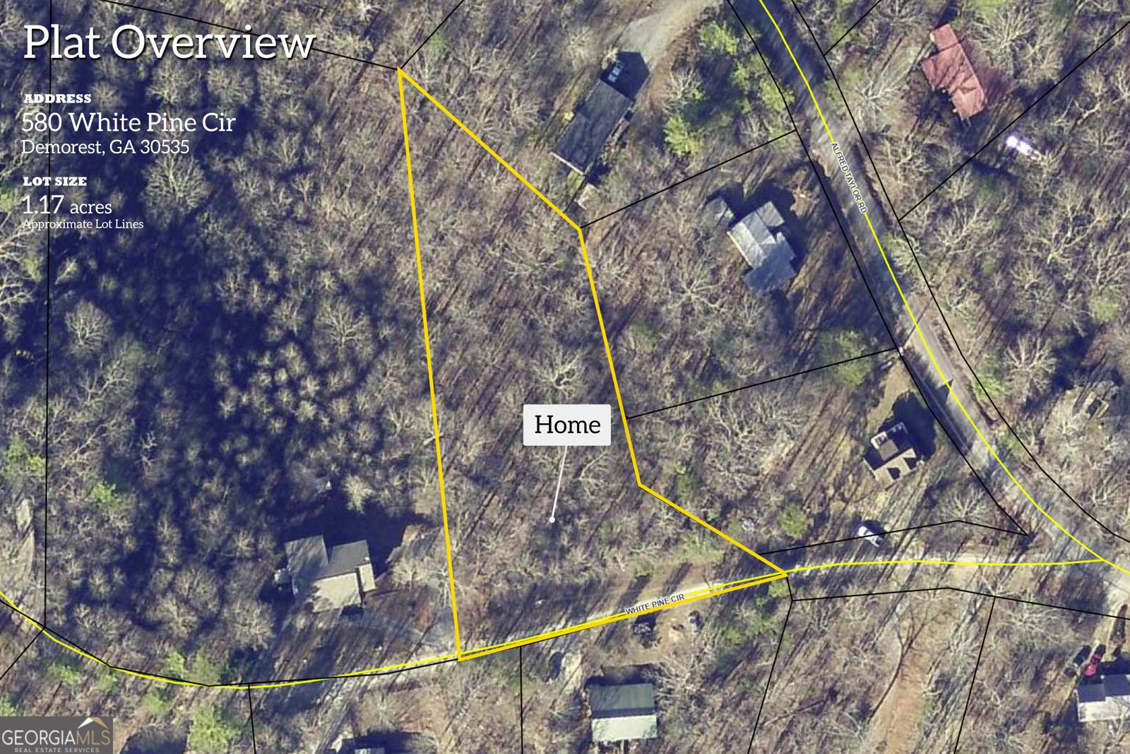 580 White Pine Circle Demorest - Photo 60
