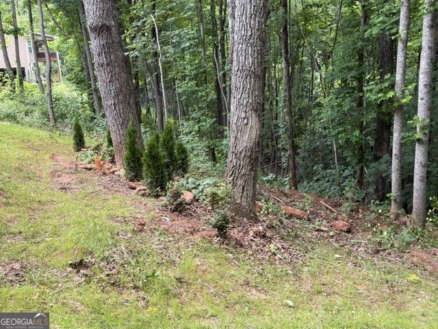 580 White Pine Circle Demorest - Photo 67