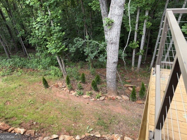 580 White Pine Circle Demorest - Photo 68