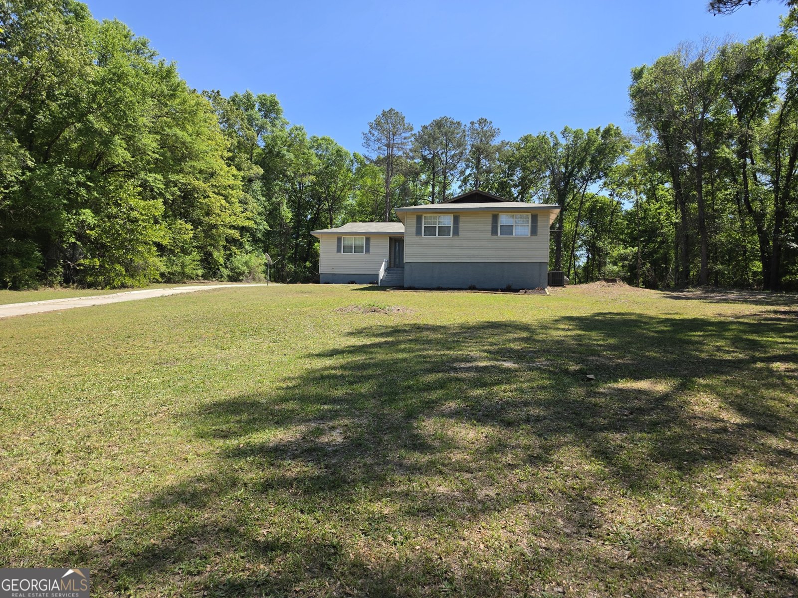 565 Dennard Road Dry Branch - Photo 1