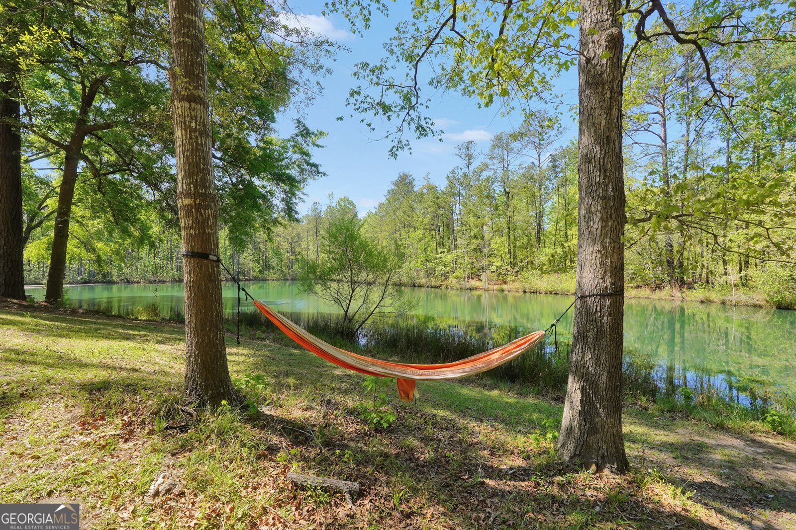 79 Woodland Way Juliette - Photo 33