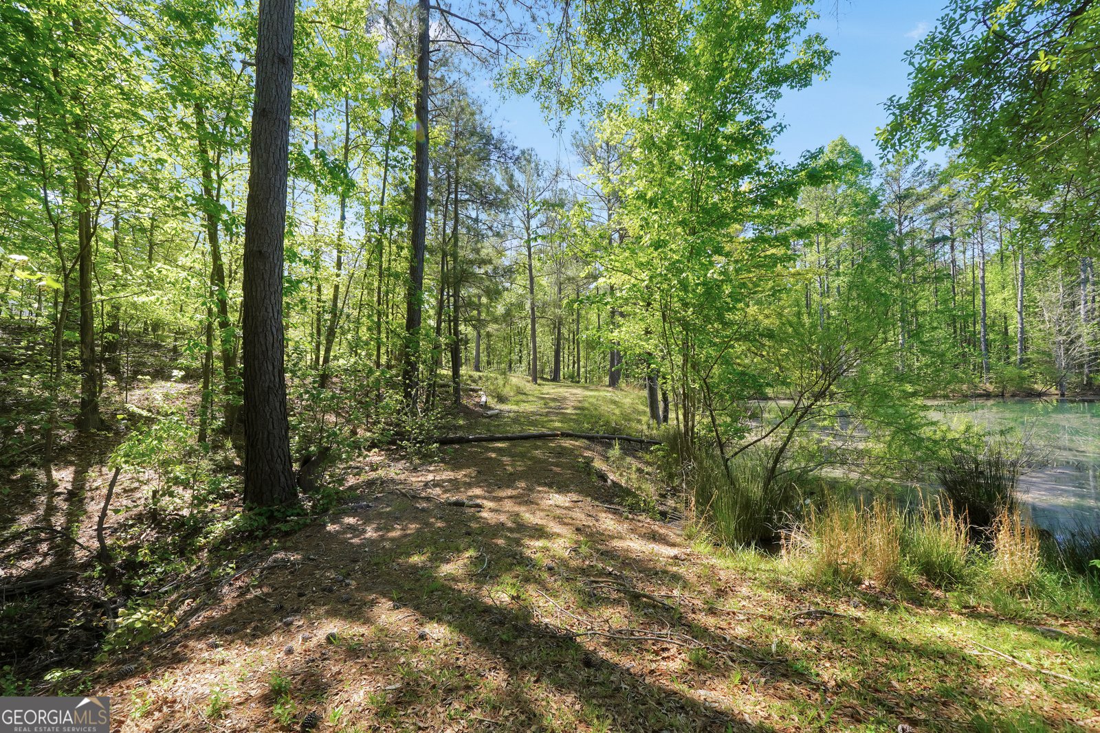 79 Woodland Way Juliette - Photo 46