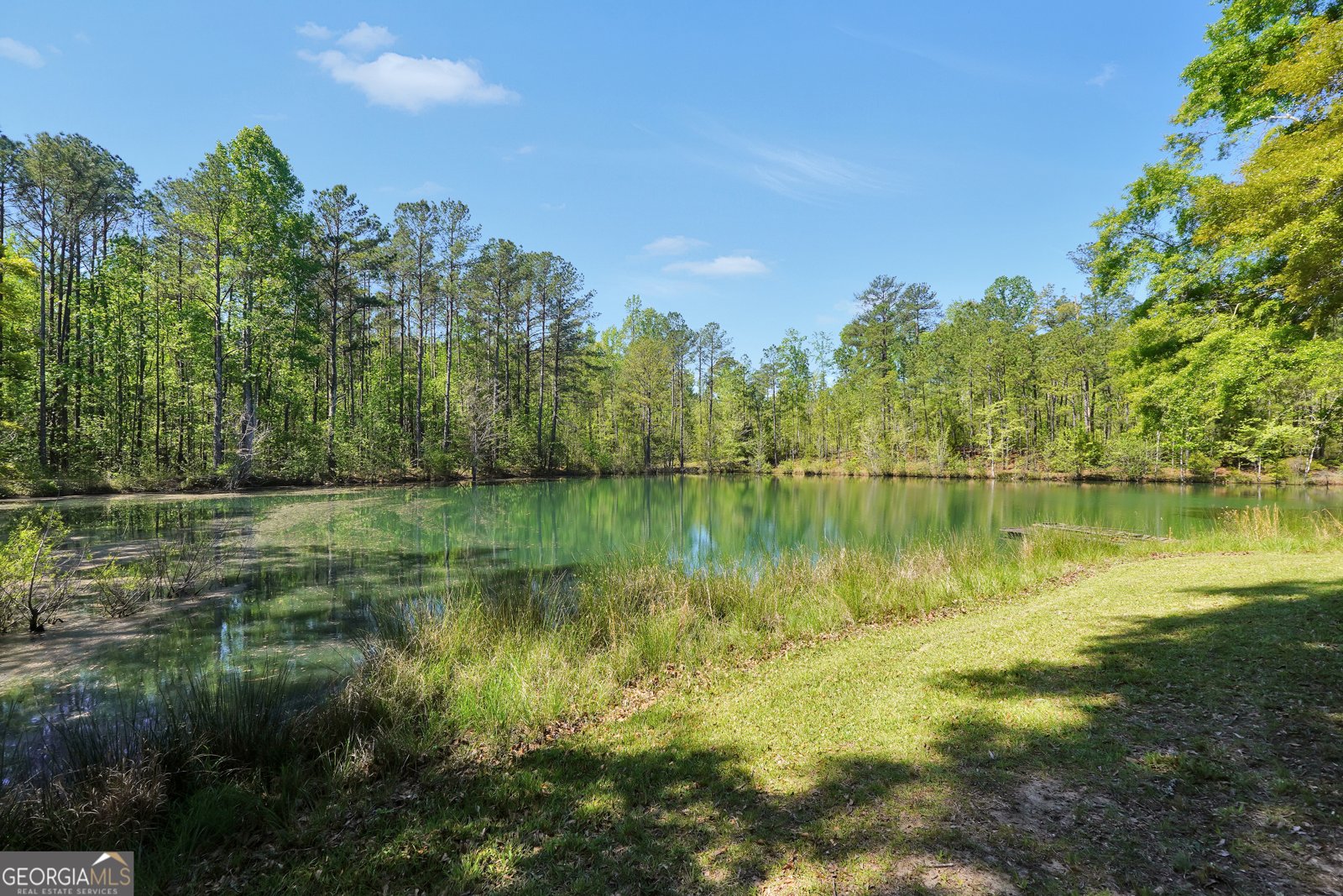 79 Woodland Way Juliette - Photo 47