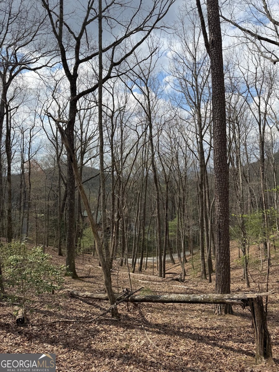 57 Laurel Lane Ellijay - Photo 17