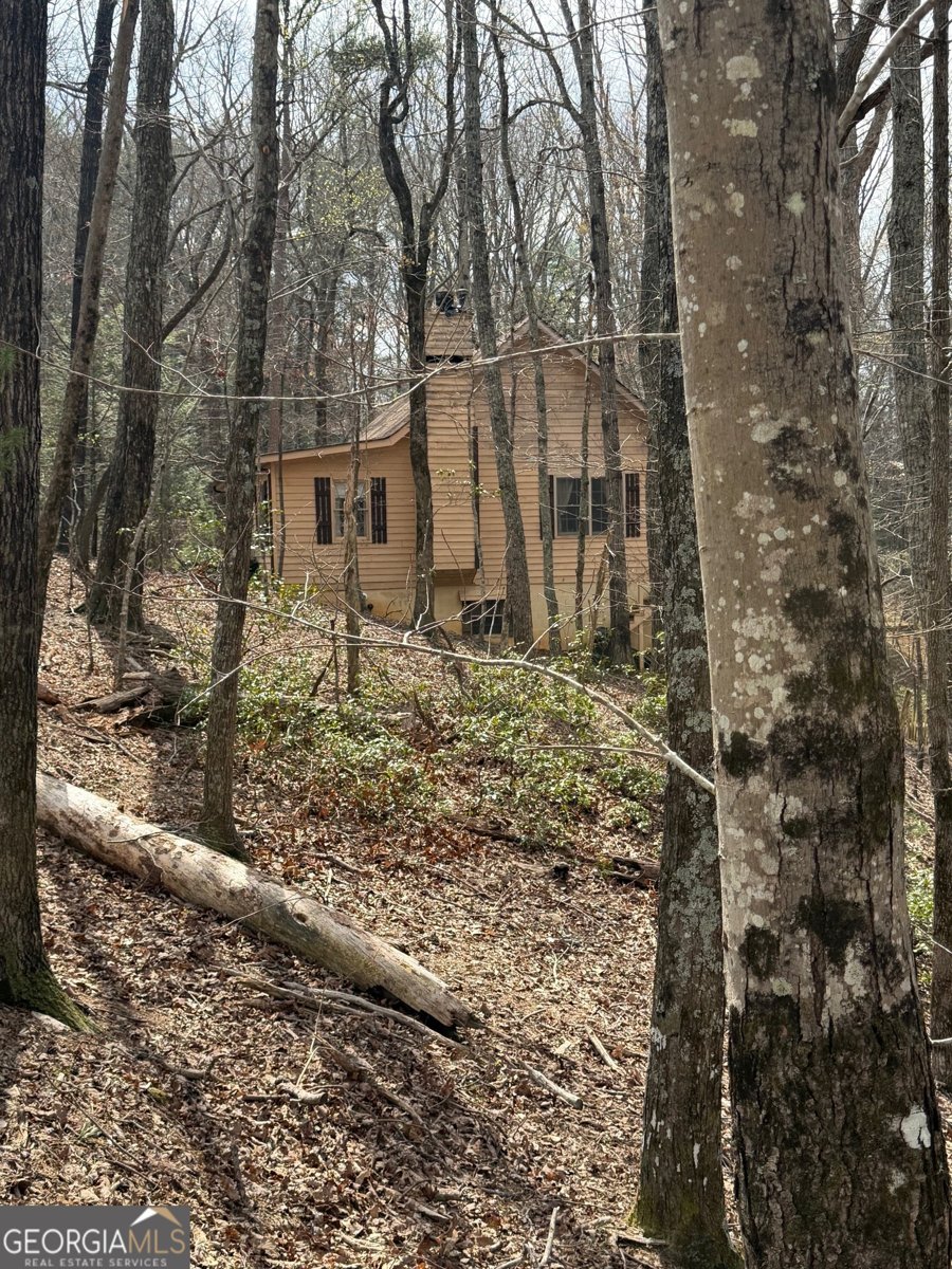 57 Laurel Lane Ellijay - Photo 18