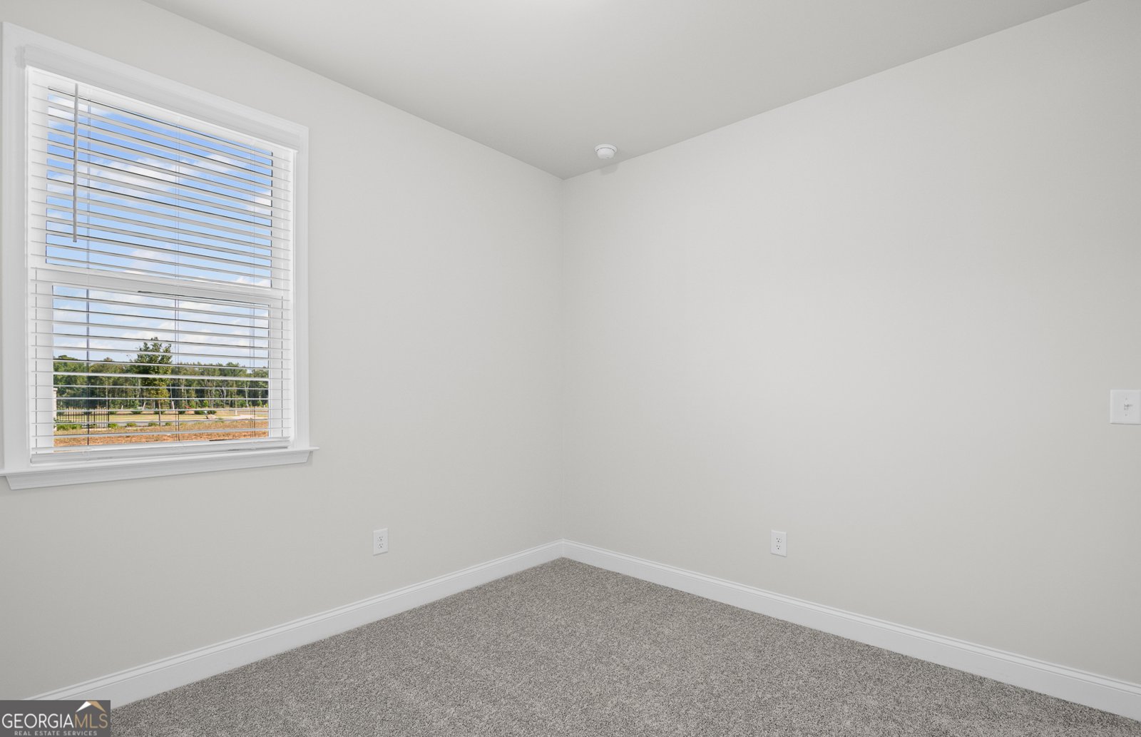 280 Nesta Grove Drive Locust Grove - Photo 19