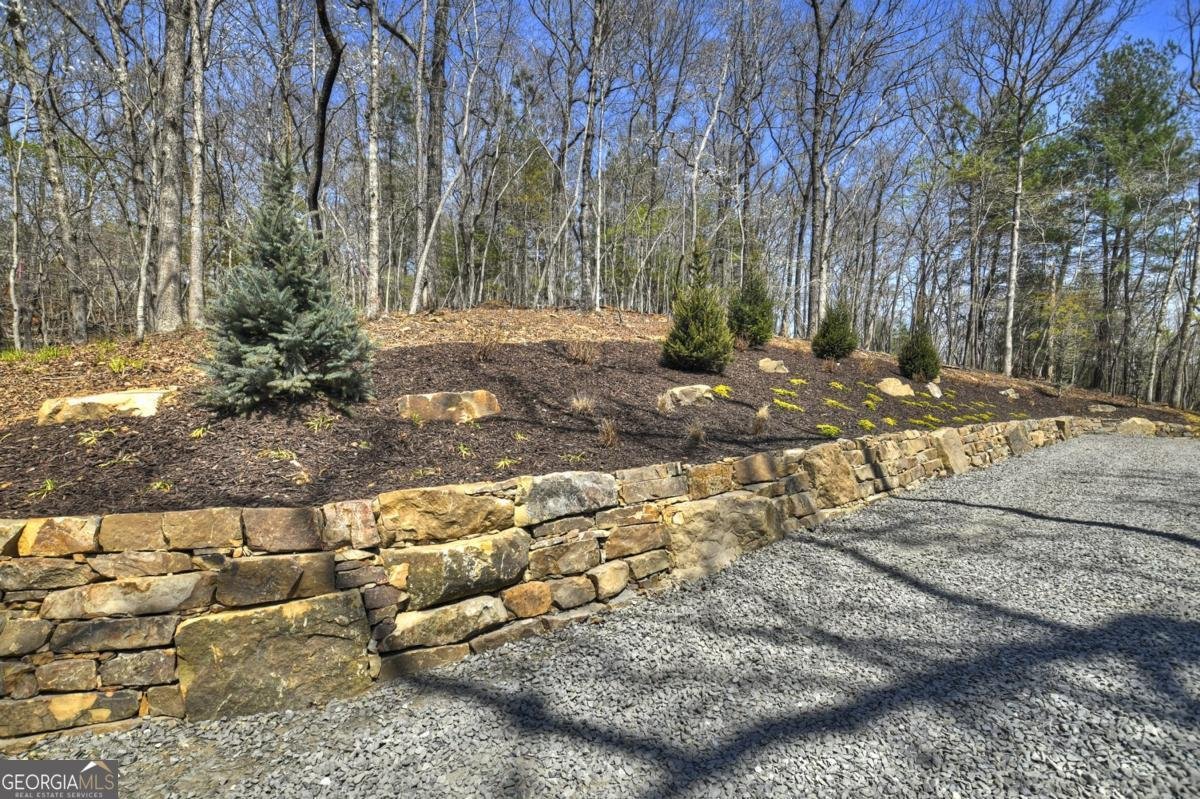 158 Spring Run Drive Blue Ridge - Photo 33