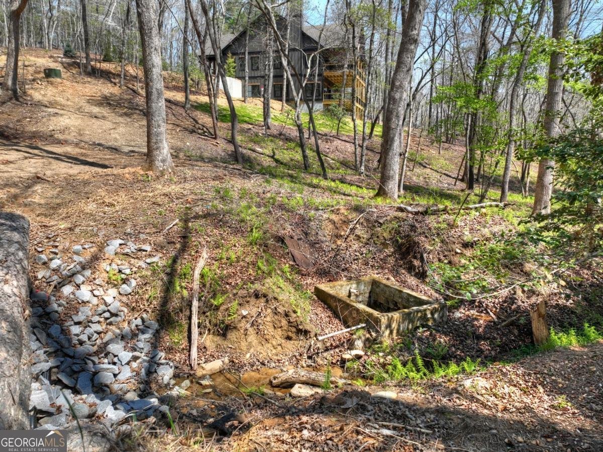 158 Spring Run Drive Blue Ridge - Photo 45