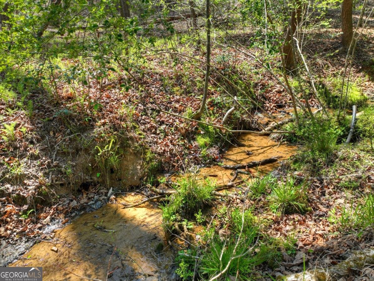 158 Spring Run Drive Blue Ridge - Photo 46