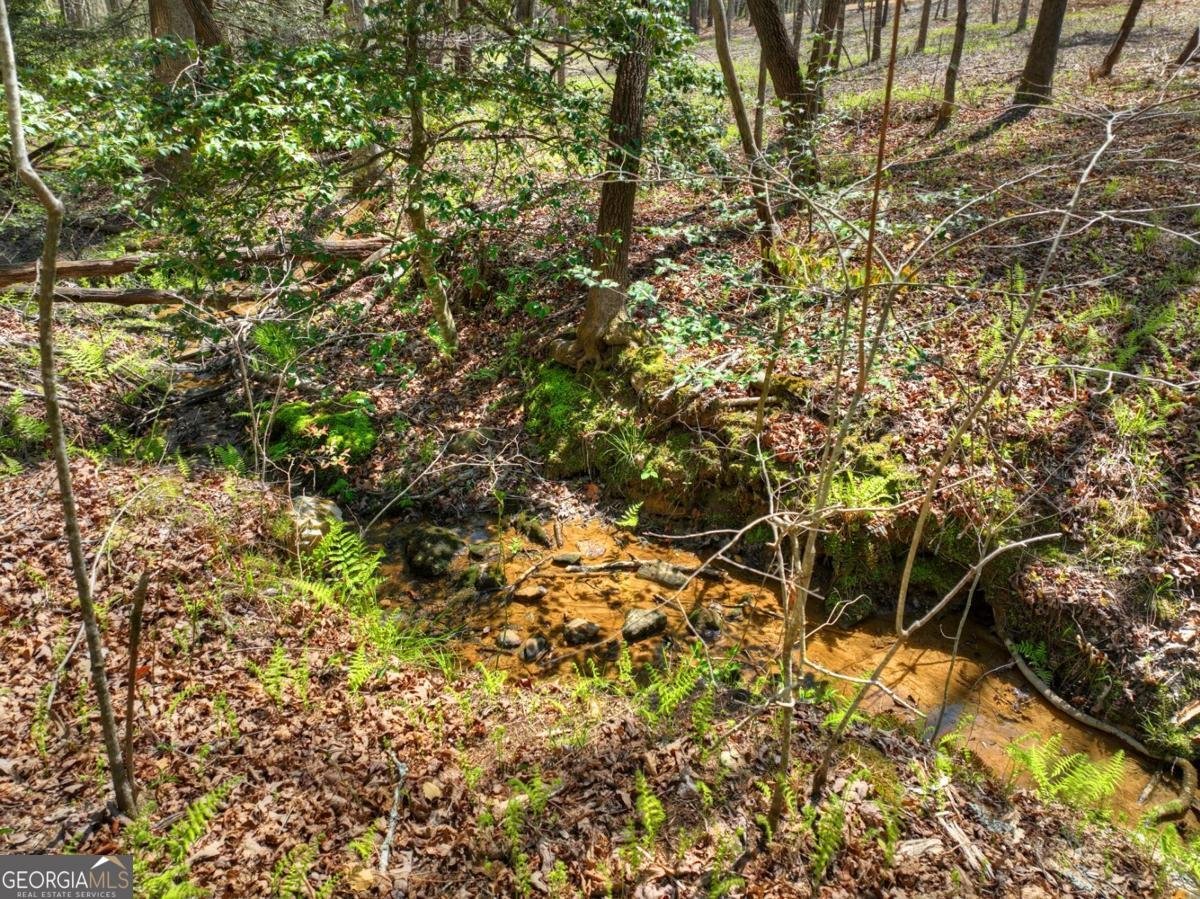 158 Spring Run Drive Blue Ridge - Photo 47