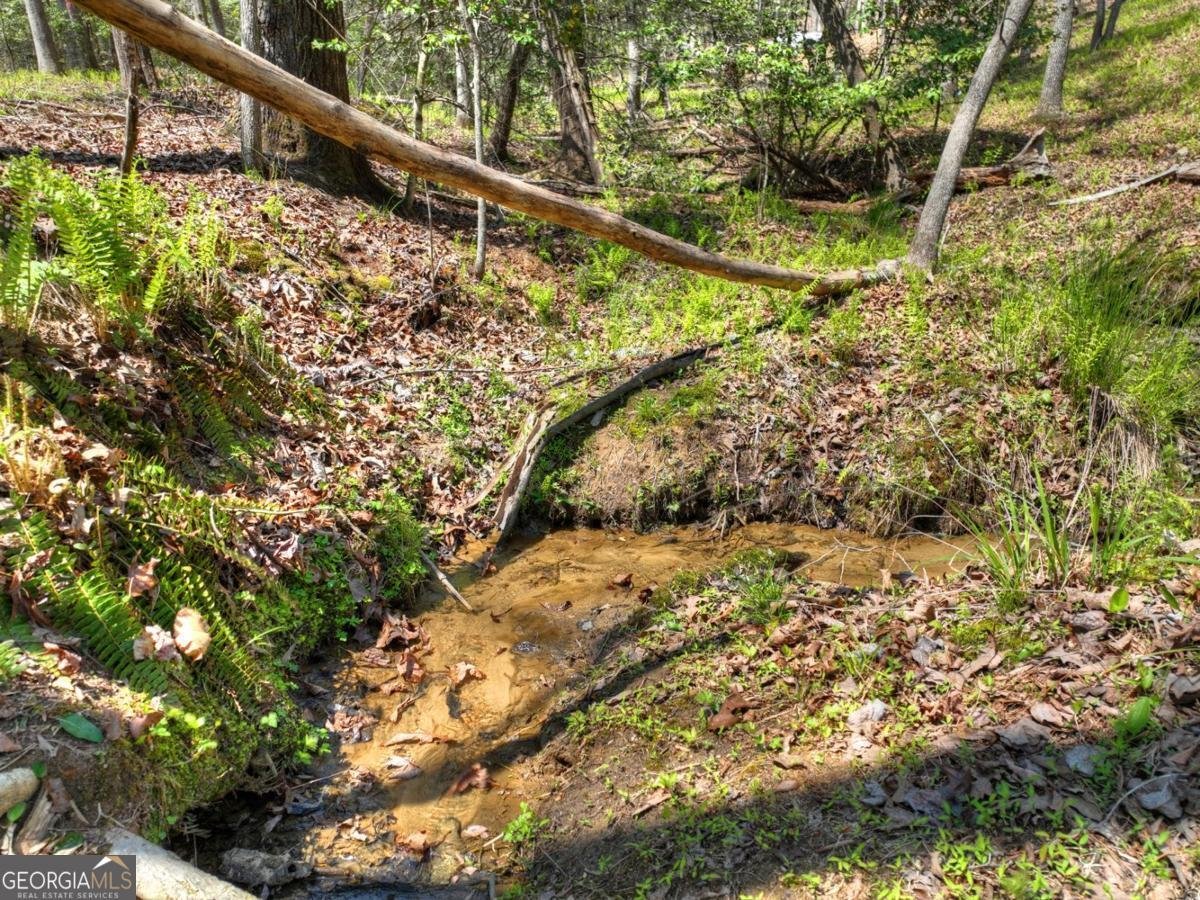 158 Spring Run Drive Blue Ridge - Photo 48