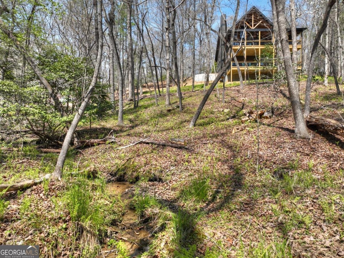 158 Spring Run Drive Blue Ridge - Photo 49