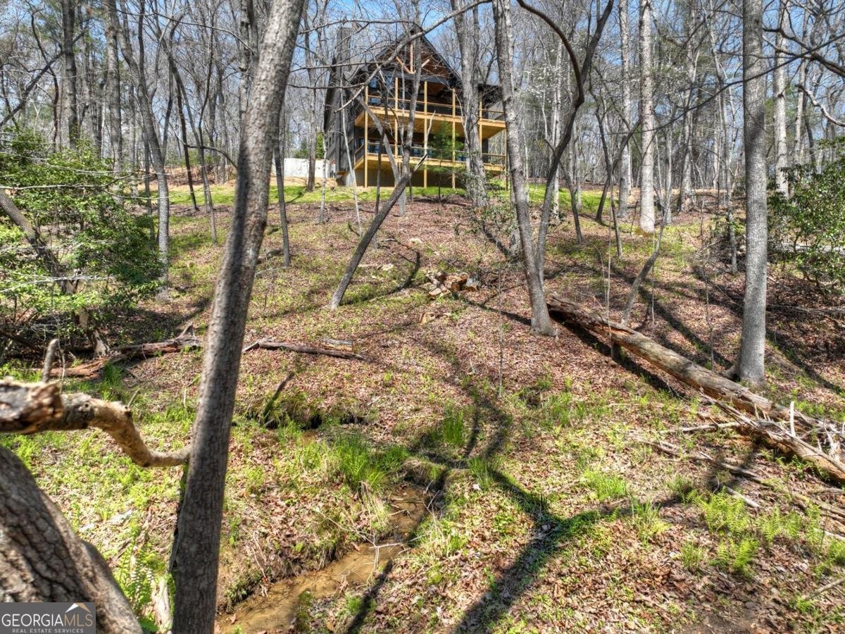 158 Spring Run Drive Blue Ridge - Photo 50