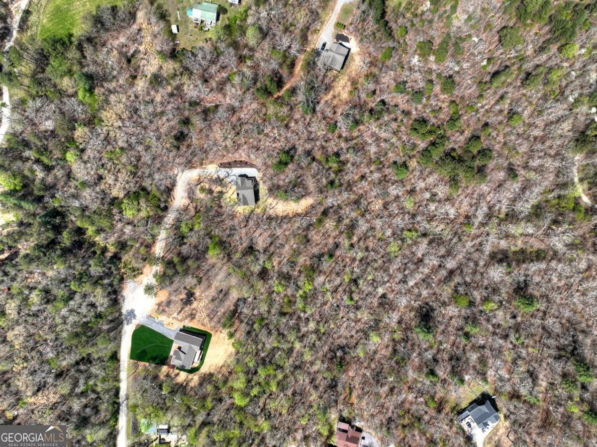 158 Spring Run Drive Blue Ridge - Photo 51