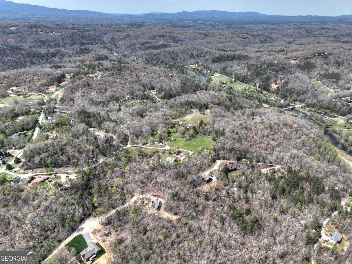 158 Spring Run Drive Blue Ridge - Photo 52