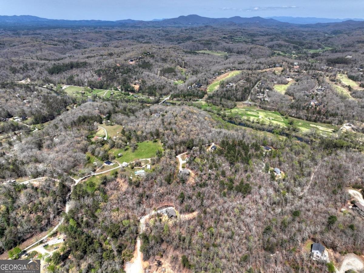 158 Spring Run Drive Blue Ridge - Photo 53