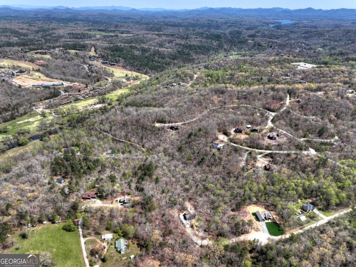 158 Spring Run Drive Blue Ridge - Photo 54