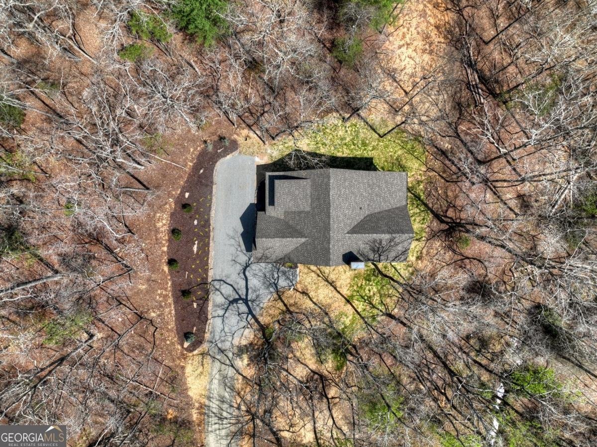 158 Spring Run Drive Blue Ridge - Photo 55