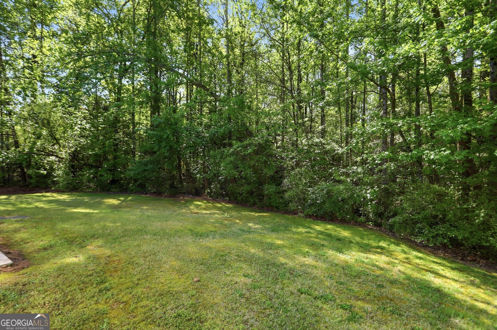 8375 Browns Mill Trace Lithonia - Photo 19