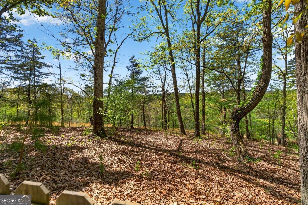 194 Lukes Path Jasper - Photo 43